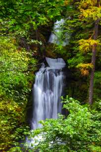 Curly Creek Falls-3096.jpg